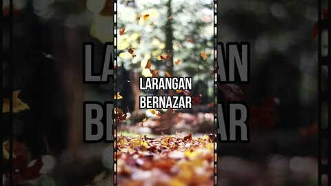 Larangan bernazar