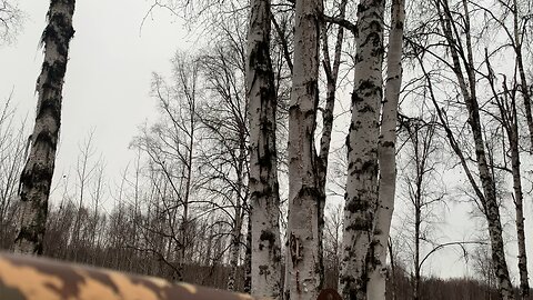 Fighter jets over Willow, Alaska