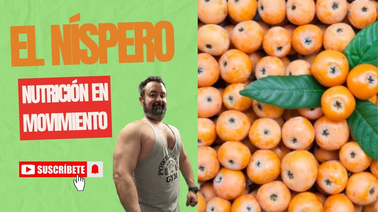 El níspero