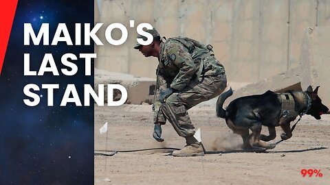 Hero Dog Maiko Sacrifices Life to Save U.S. Army Rangers