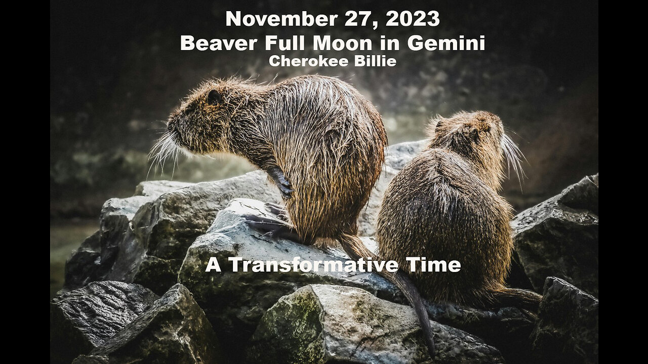 November 27, 2023 Beaver Full Moon in Gemini