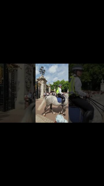 waiting for horse and carriage to arrive #buckinghampalace