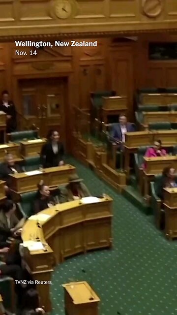 new Zealand parliament protest