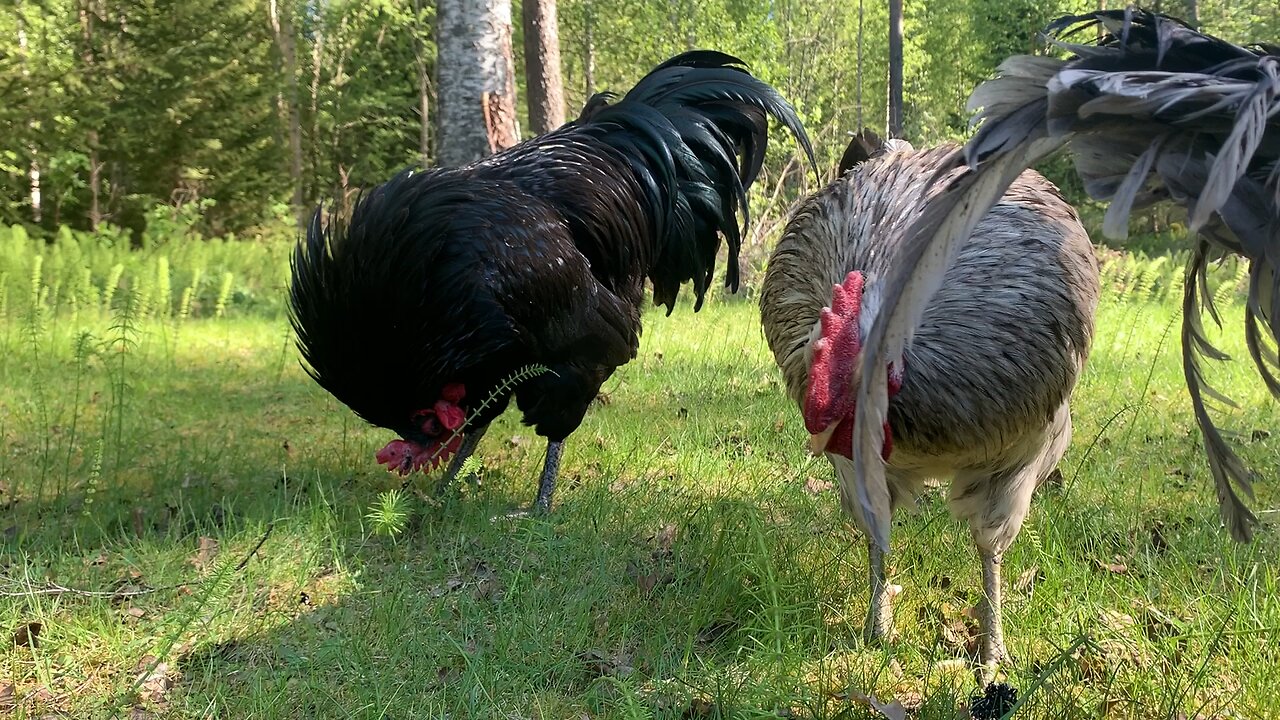 Chillin on a nice spring day with my boys