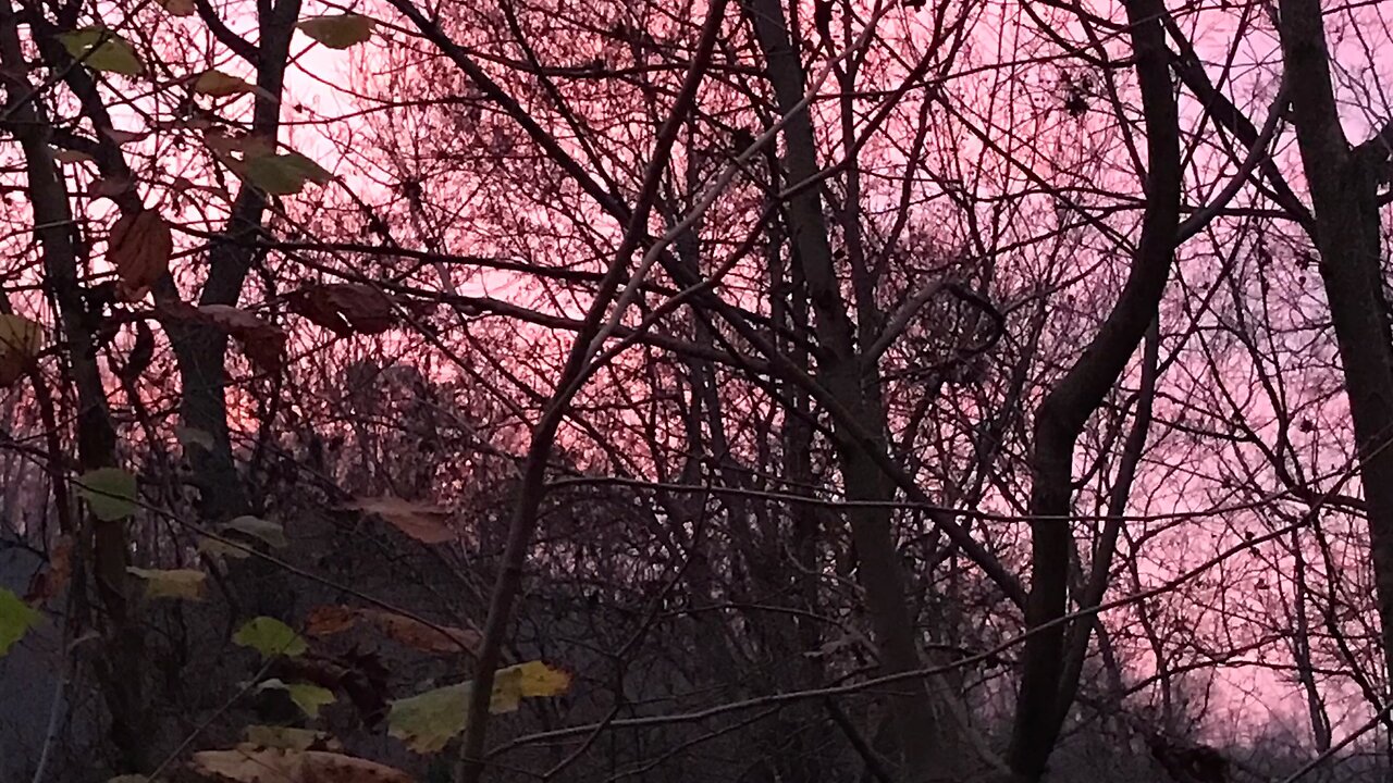 WHAT A BEAUTIFUL EVENING SKY!