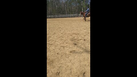 Part Time Cowboy and Cody do some shooting practice