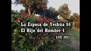 La Esposa de Yeshúa 84 - El Hijo del hombre 4