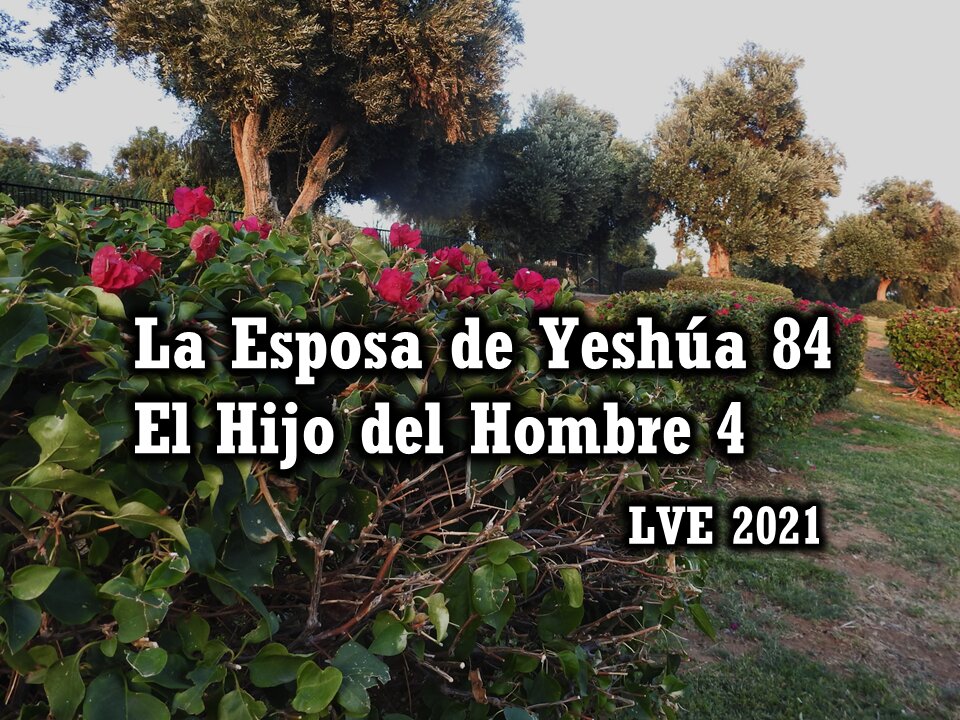 La Esposa de Yeshúa 84 - El Hijo del hombre 4
