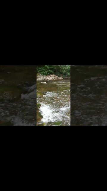 LoFi ASMR | Nature Sounds | Water