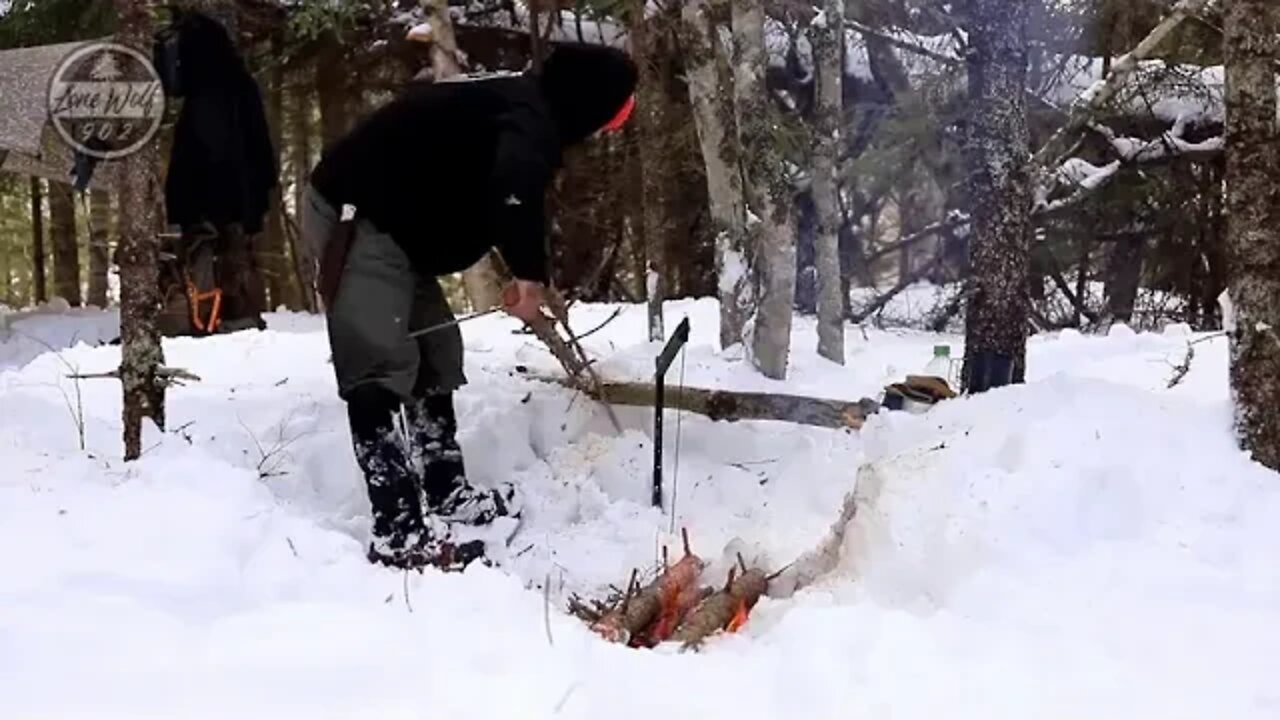 Camp in a hammock in winter 5