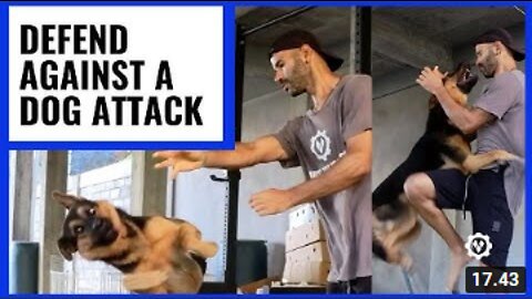 How to Defend Against Dog Attack (instantlly)