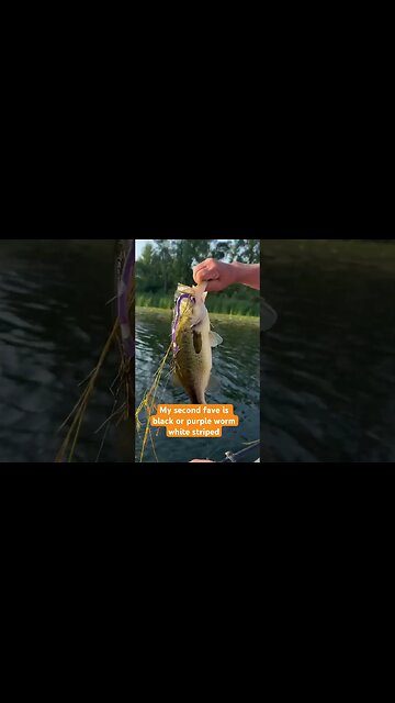 Bass Bubba’s go to Lures #largemouthbassfishing