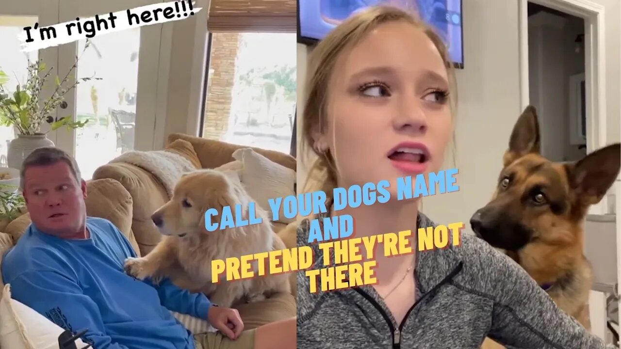 Call Your Dogs Name And Pretend They're Not There