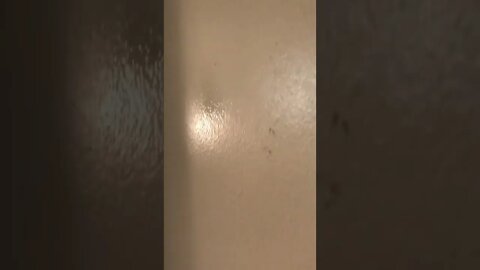Death walls 0