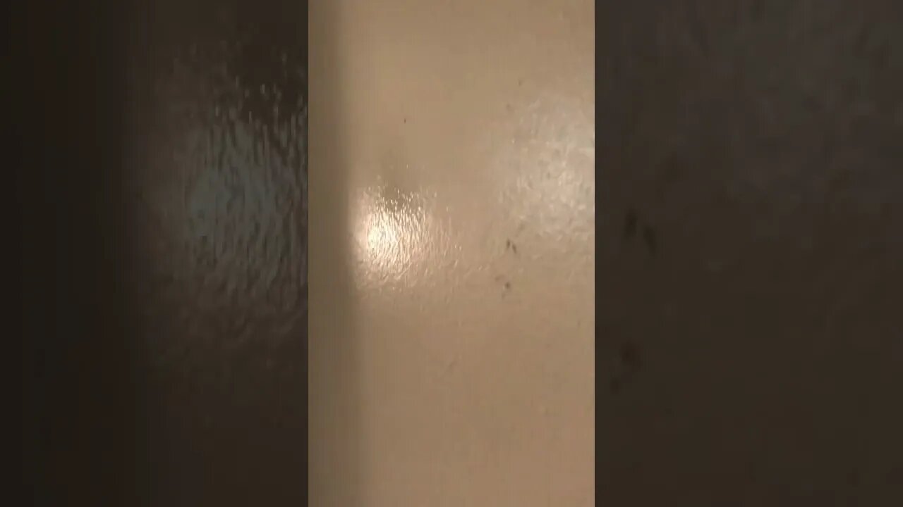 Death walls 0