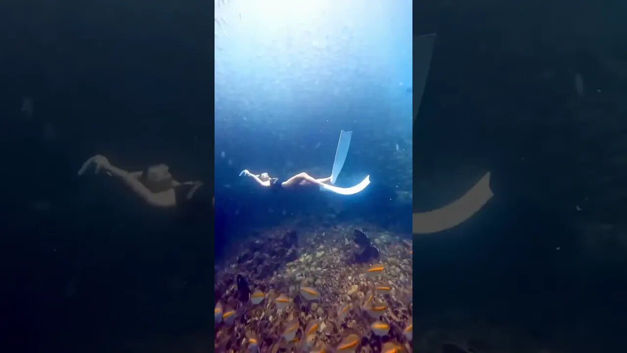 The natural world keeps surprising us.