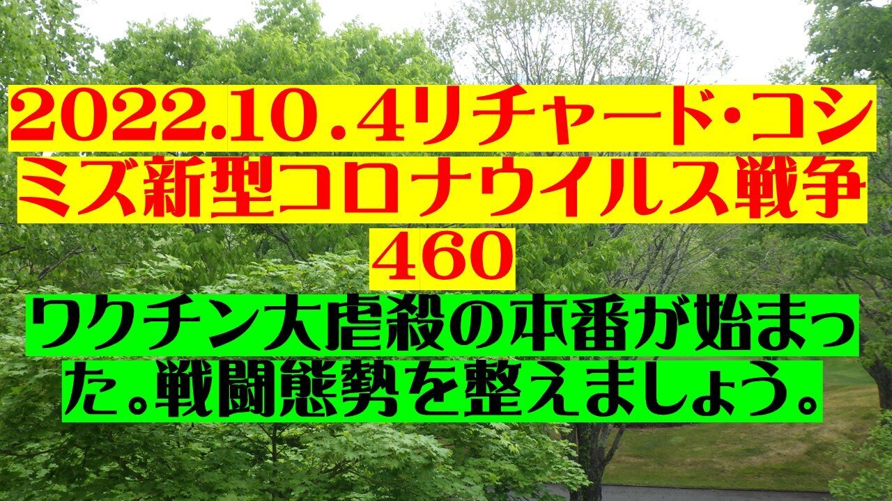 2022.10.04 リチャード・コシミズ新型コロナウイルス戦争４６０