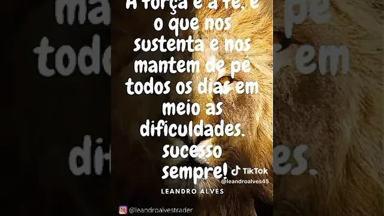 3 de outubro de 2023
