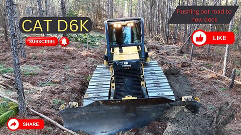 Carolina Logging | Clearing new logging road to deck site