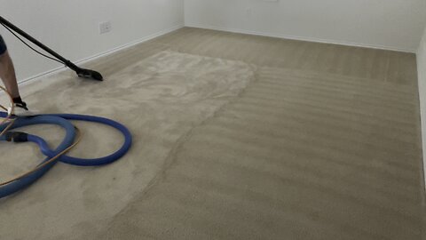 Can’t Sleep? Clean Carpet.