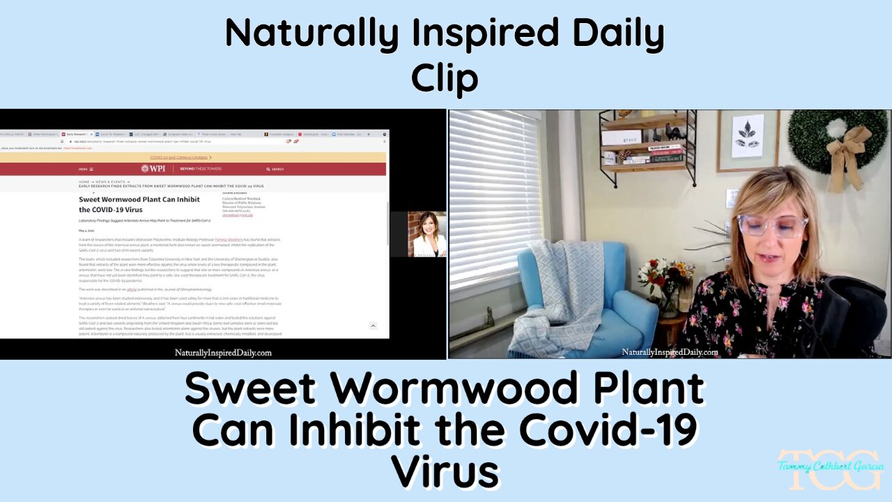 Sweet Wormwood Plant Can Inhibit the Covid-19 Virus