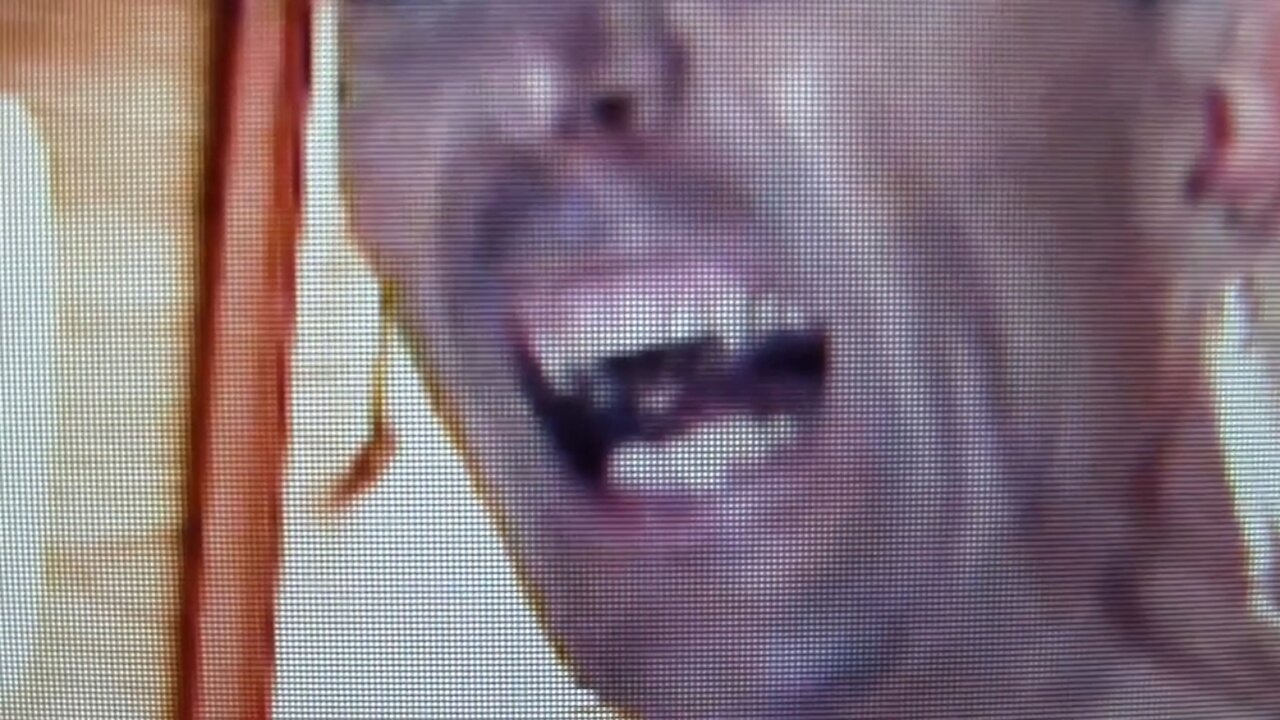 203. Demonic Richard Bruce Reptilian Vampire Fangs Look
