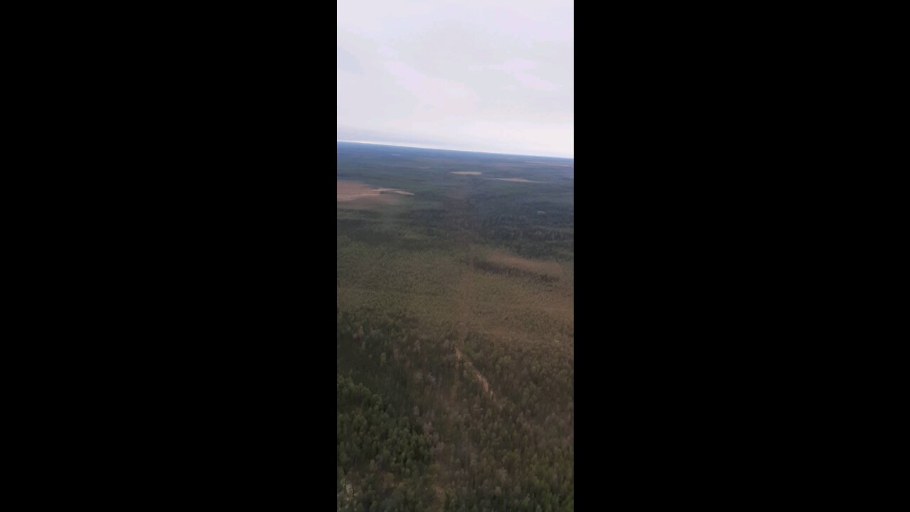 Forest, swamps, Siberian taiga