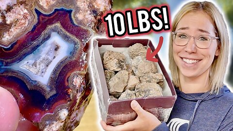 I Cut Open 10 POUNDS of Agates to See What's Inside