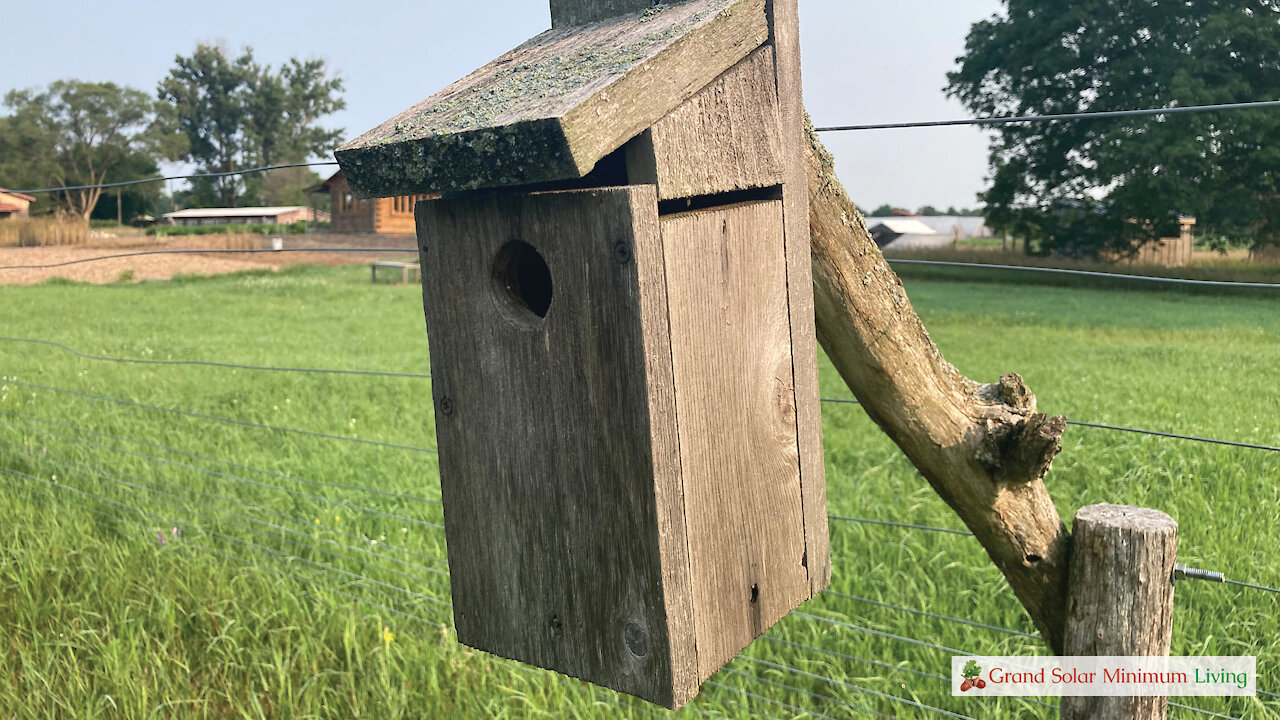 Birdhouses On The Farm For Insect Control