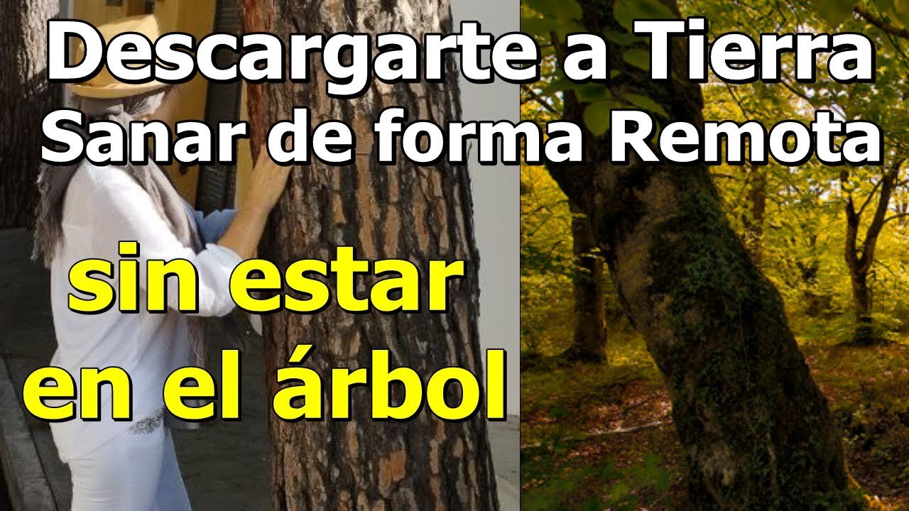 CÓMO DEJAR TU ADN EN UN ÁRBOL PARA DESCARGARTE A TIERRA DE FORMA REMOTA Y SANARTE