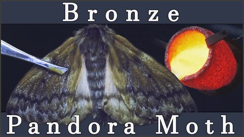 Bronze Foundry: Dead Pandora Moths into Metal Sculptures