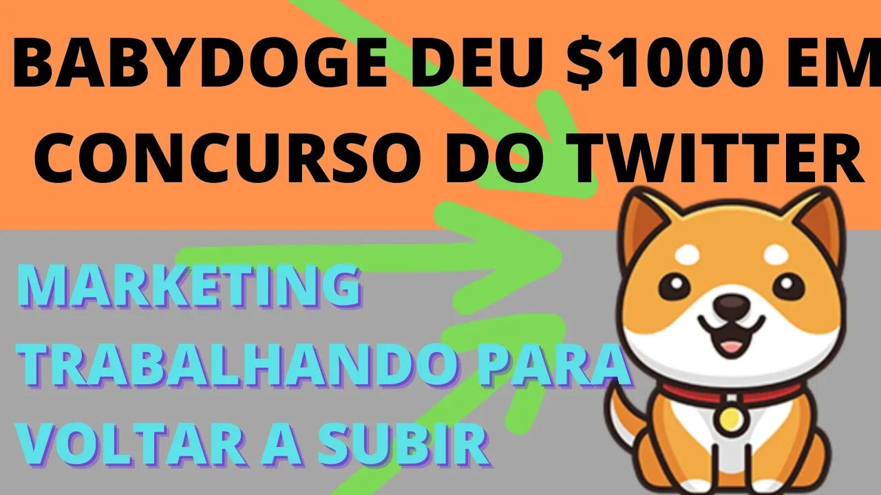 #babydogecoin lutando para não perder o Hype - 64