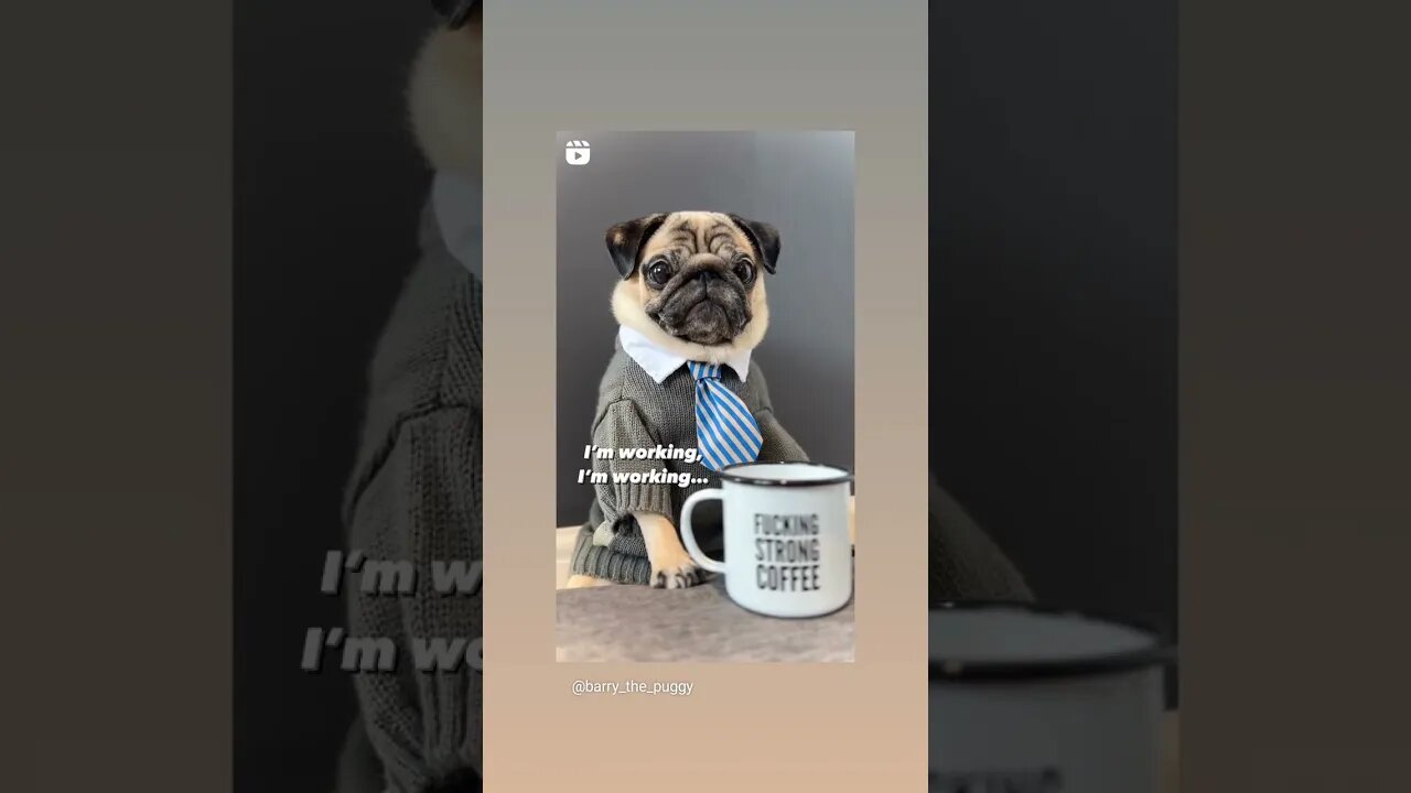 Work.. how do you feel
