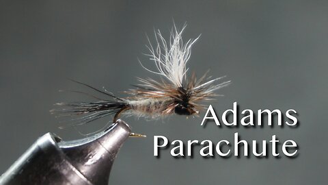 Adams Parachute