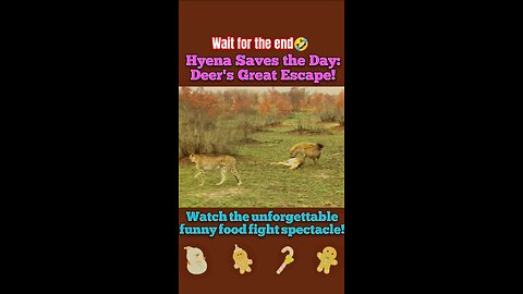 Hyena Saves the Day: Deer's Great Escape!