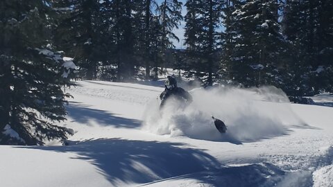 2020-2021 Snowmobile Edit