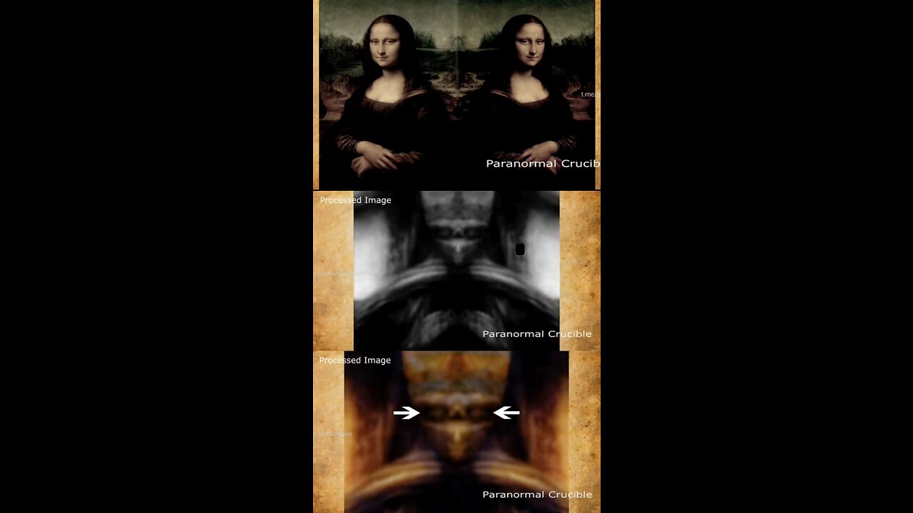 THINK MIRROR / HIDDEN MESSAGES, SYMBOLS, PICTURES LEONARDO DA VINCI