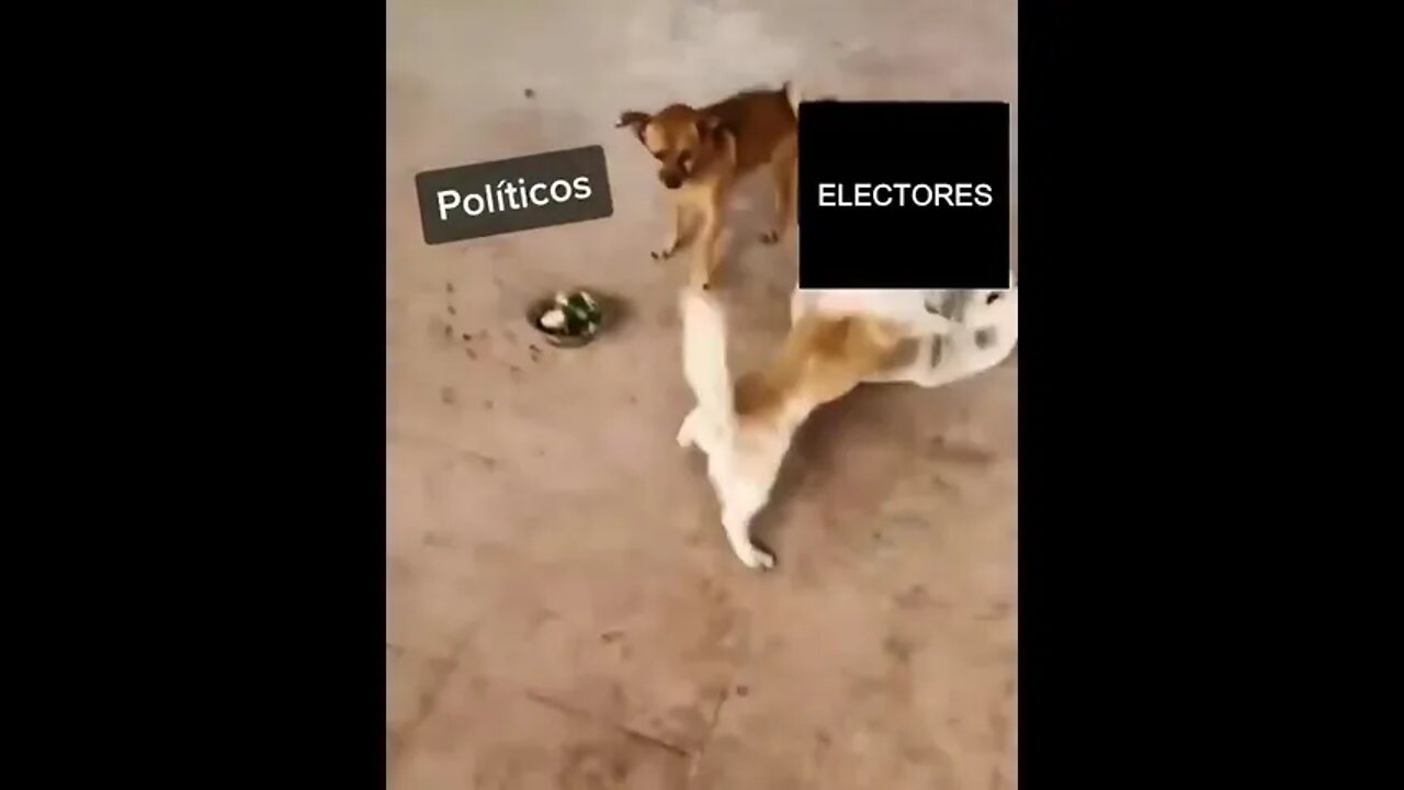 Eleitor x Político