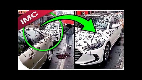 "NO WAY" Videos That Are Shaking The Internet