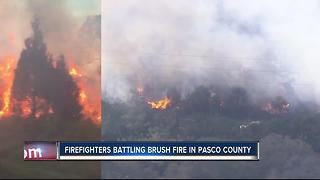 Pasco County Fire Rescue working brush fire in Hudson, residents asked to evacuate