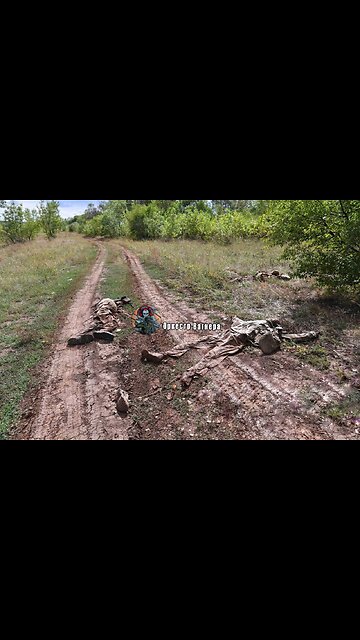 Рассказ укровоина о том, как его "побратим