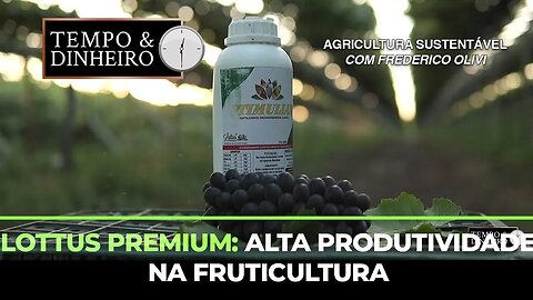 Lottus Premium: Alta produtividade na fruticultura