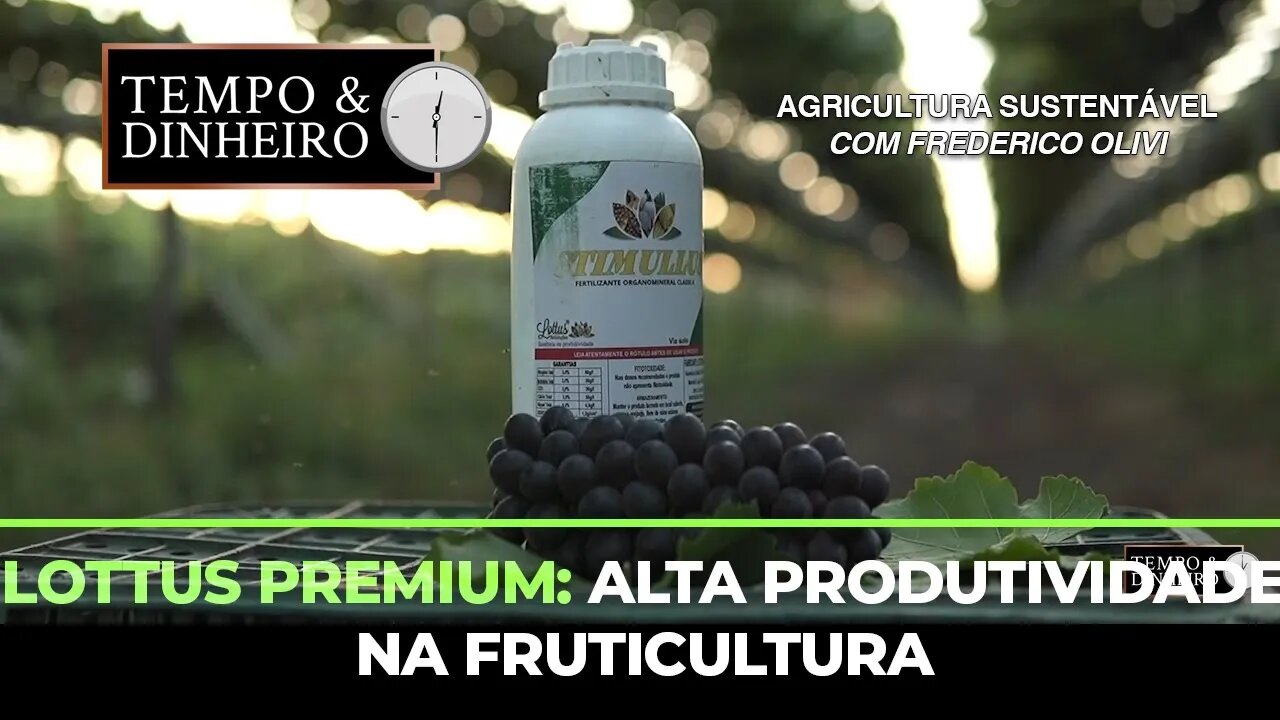 Lottus Premium: Alta produtividade na fruticultura