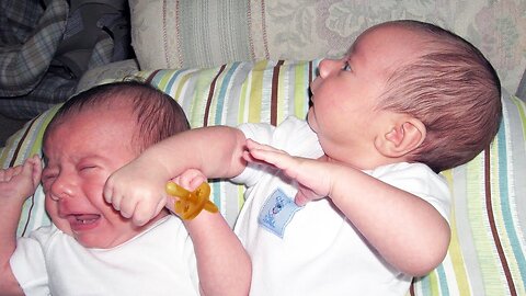 twin babies fighting on pacifier