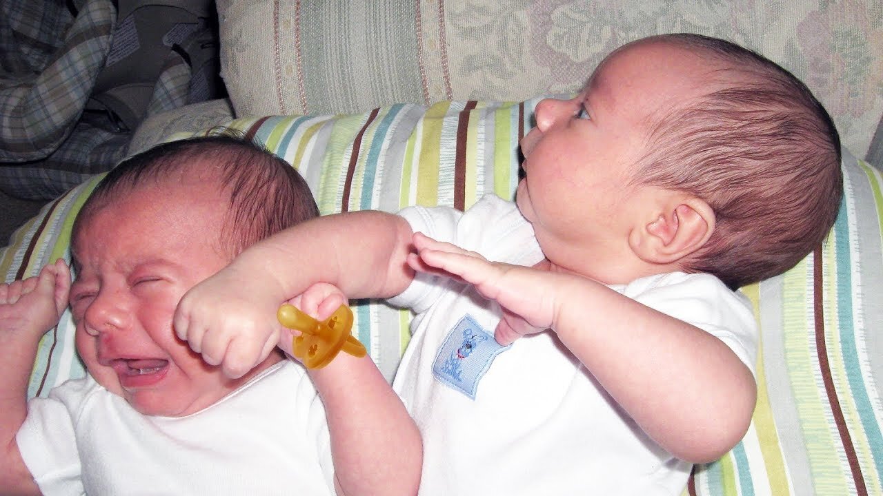 twin babies fighting on pacifier