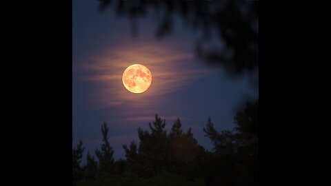 Day Day 2-8 of 30 day Sidereal Moon Gong Challenge: Connecting to Your Breath