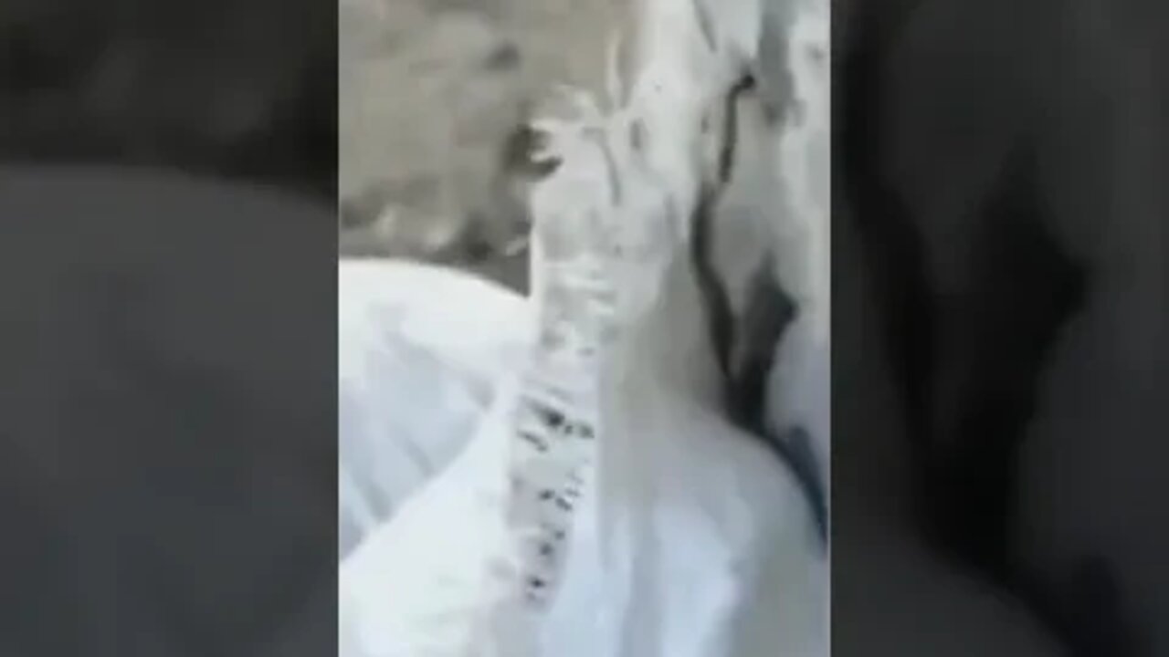 A resident of the DPR filmed on his phone how the RAF fire at civilians from the MLRS. #UkraineWar