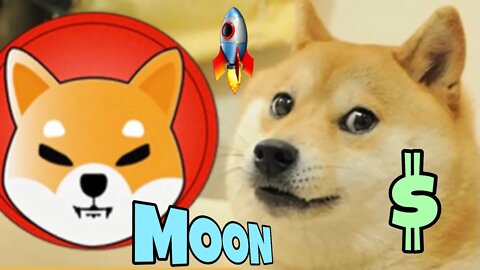 Shiba Inu Coin Update