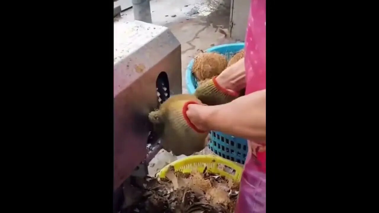 viral trending shorts