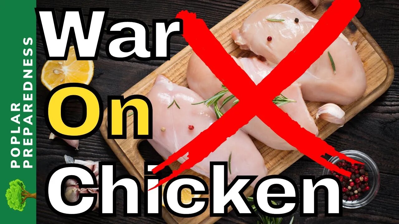 FDA To Protect YOU From Chicken | Submit For Your Protection